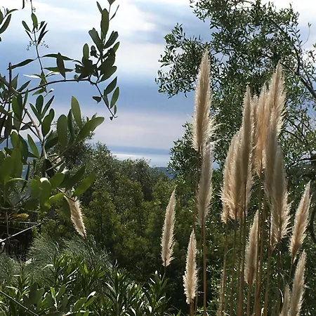 Modernes Casa Camillo Im Olivenhain * ドルチェード