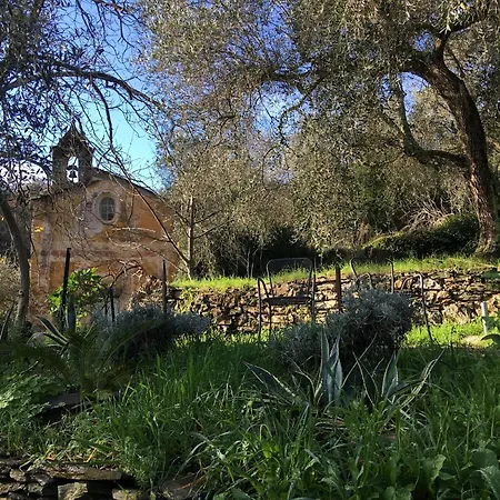 Modernes Casa Camillo Im Olivenhain ドルチェード