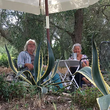Modernes Casa Camillo Im Olivenhain Сasa de vacaciones Dolcedo