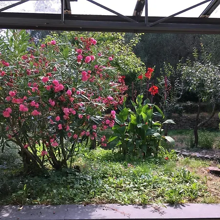 Modernes Casa Camillo Im Olivenhain Dolcedo