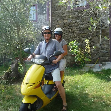 Modernes Casa Camillo Im Olivenhain Dolcedo